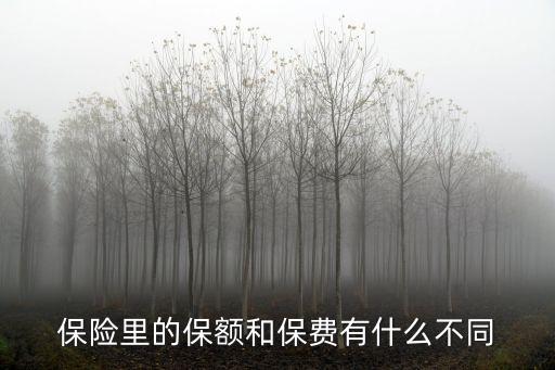 保險里的保額和保費有什么不同