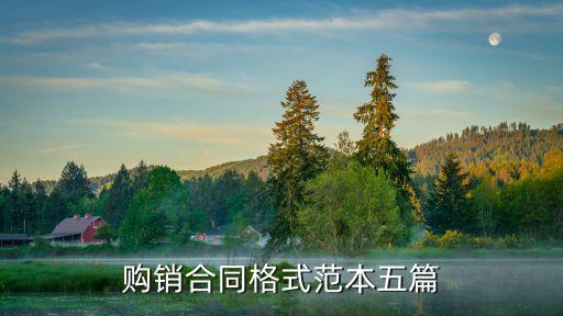 訂單合同書怎么寫,訂貨合同電子版