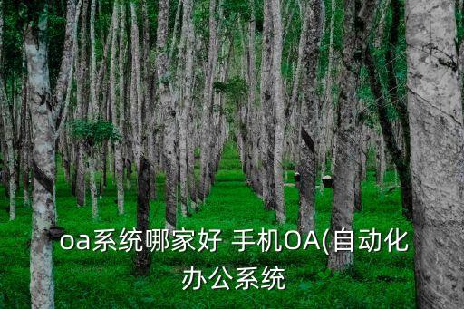  oa系統(tǒng)哪家好 手機(jī)OA(自動化 辦公系統(tǒng)