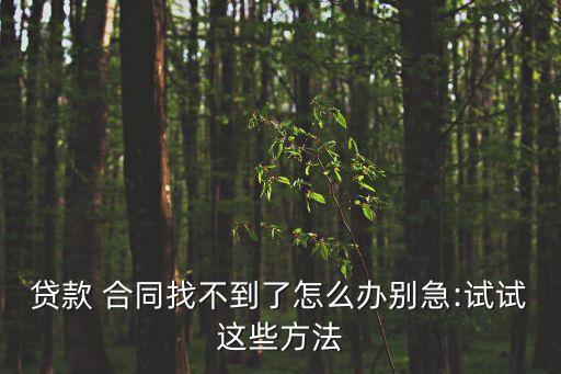 電子版借款合同怎么弄到手機(jī)上,住房借款合同電子版怎么弄