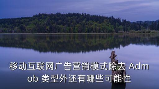 移動(dòng)互聯(lián)網(wǎng)廣告，移動(dòng)互聯(lián)網(wǎng)廣告有何特點(diǎn)