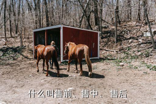 售后是什么意思,拼多多申請售后是什么意思