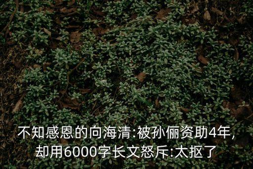 不知感恩的向海清:被孫儷資助4年,卻用6000字長文怒斥:太摳了