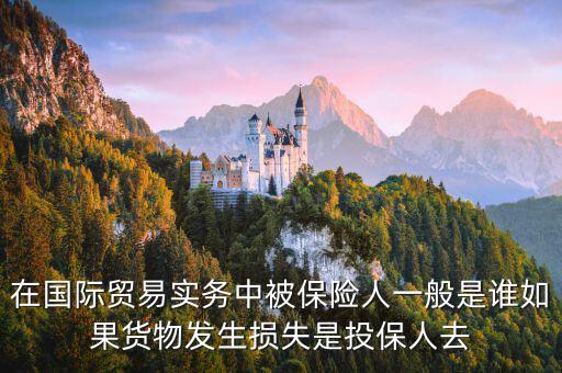 在國(guó)際貿(mào)易實(shí)務(wù)中被保險(xiǎn)人一般是誰(shuí)如果貨物發(fā)生損失是投保人去