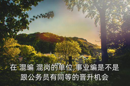 混編混崗,事業(yè)單位混編混崗