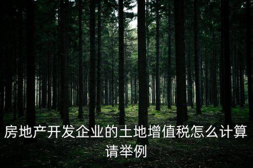 房地產(chǎn)開發(fā)企業(yè)的土地增值稅怎么計算請舉例