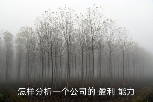 怎樣分析一個(gè)公司的 盈利 能力