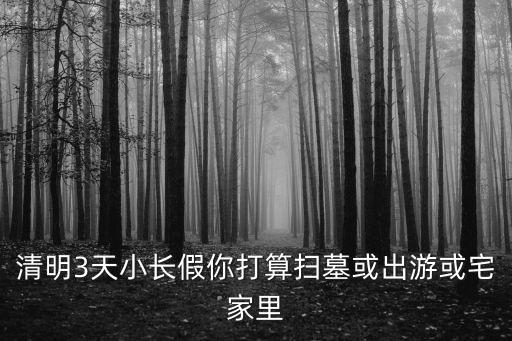 清明3天小長假你打算掃墓或出游或宅家里