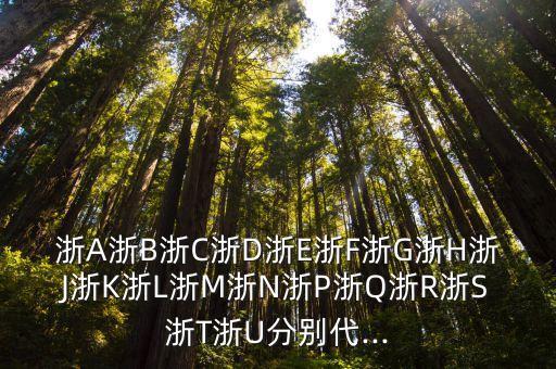 浙a是哪里,浙A是哪里的牌照