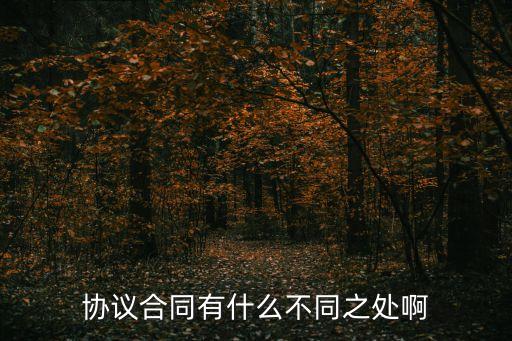 協(xié)議合同有什么不同之處啊