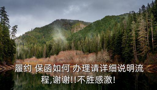 履約保函怎么辦理,農(nóng)民工工資履約保函怎么辦理