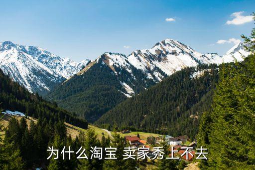 賣家秀