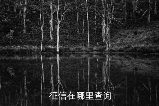 如何查征信