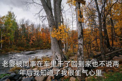 老婆被同事在車?yán)锔闪嘶氐郊乙膊徽f兩年后我知道了我很生氣心里