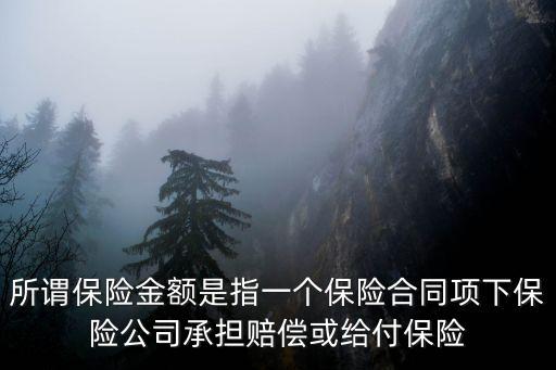 所謂保險金額是指一個保險合同項下保險公司承擔賠償或給付保險
