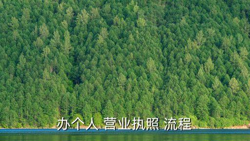個體戶營業(yè)執(zhí)照辦理流程,深圳市個體戶營業(yè)執(zhí)照辦理流程