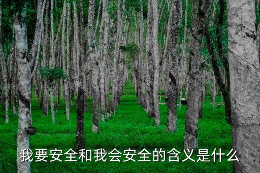 我要安全，我要安全跟要我安全兩種意識(shí)的本質(zhì)區(qū)別是什么