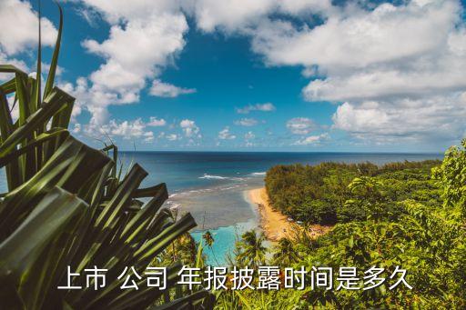 上市公司年報