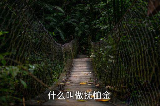 撫恤金，什么叫做撫恤金