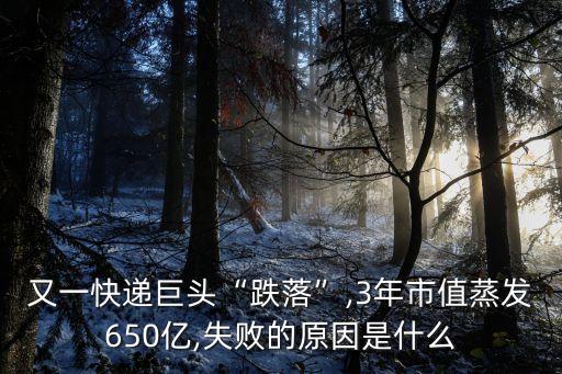 王衛(wèi)一家三口,順豐王衛(wèi)一家三口