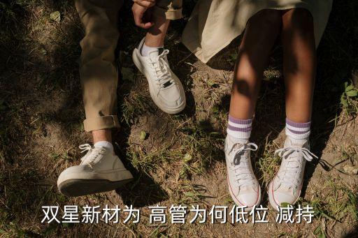 高管減持