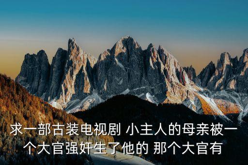 求一部古裝電視劇 小主人的母親被一個大官強奸生了他的 那個大官有