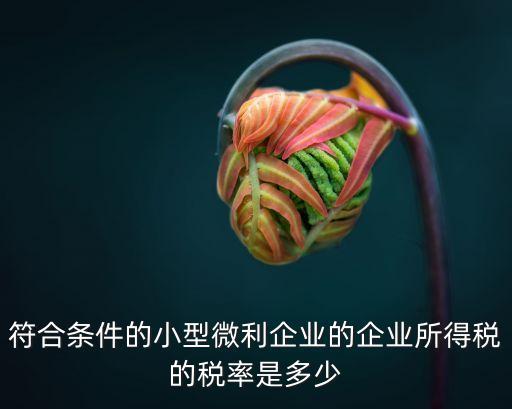 符合條件的小型微利企業(yè)的企業(yè)所得稅的稅率是多少