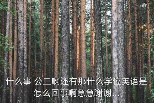 什么事 公三啊還有那什么學(xué)位英語是怎么回事啊急急謝謝...