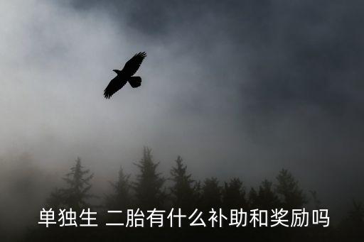 單獨二胎