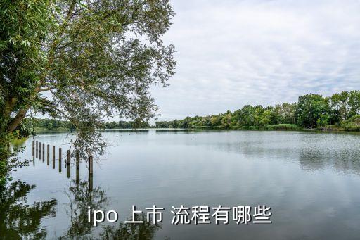 公司上市流程,有限責任公司上市流程