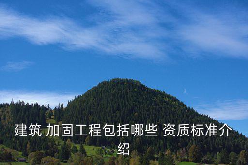加固公司資質(zhì),承重墻加固公司資質(zhì)
