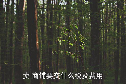 賣商鋪