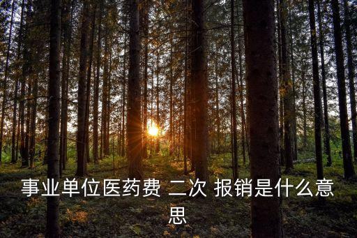 什么叫二次報(bào)銷,住院費(fèi)達(dá)到多少可以二次報(bào)銷