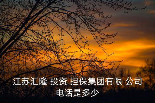 投資擔(dān)保公司,中國(guó)經(jīng)濟(jì)技術(shù)投資擔(dān)保公司