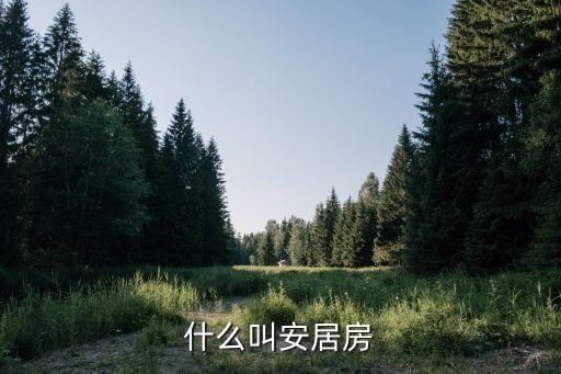 什么叫安居房