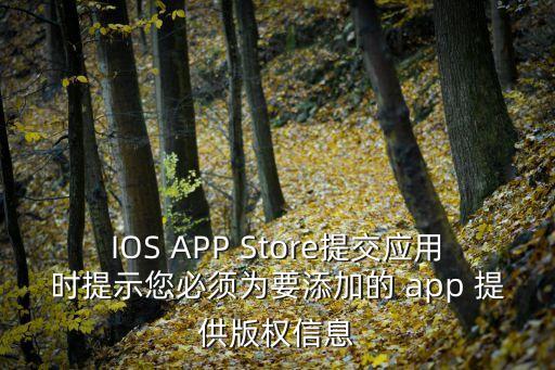 IOS APP Store提交應(yīng)用時提示您必須為要添加的 app 提供版權(quán)信息