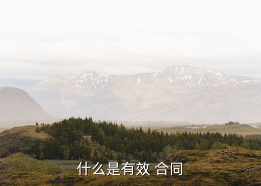 有效合同的法律形式有哪些