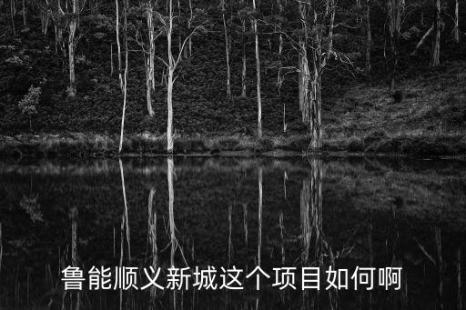 魯能新城，重慶魯能新城哪里有酒吧