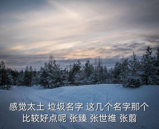 感覺(jué)太土 垃圾名字 這幾個(gè)名字那個(gè)比較好點(diǎn)呢 張臻 張世維 張翦
