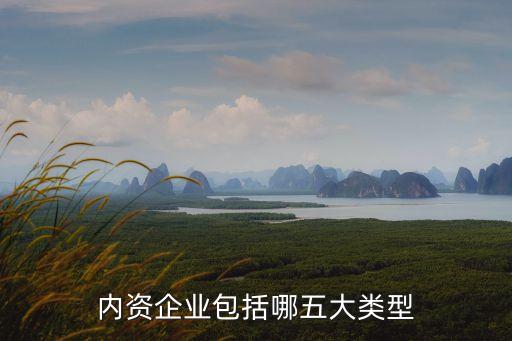 內(nèi)資公司，中國(guó)風(fēng)險(xiǎn)投資企業(yè)50強(qiáng)里有哪些是內(nèi)資企業(yè)急
