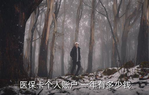 醫(yī)保一年多少錢,自己買職工醫(yī)保一年多少錢