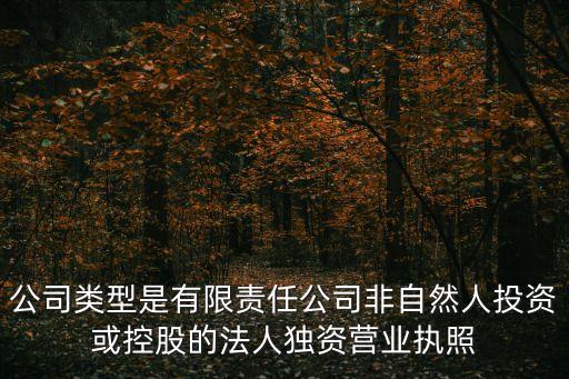 公司類型是有限責任公司非自然人投資或控股的法人獨資營業(yè)執(zhí)照