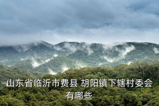 胡陽