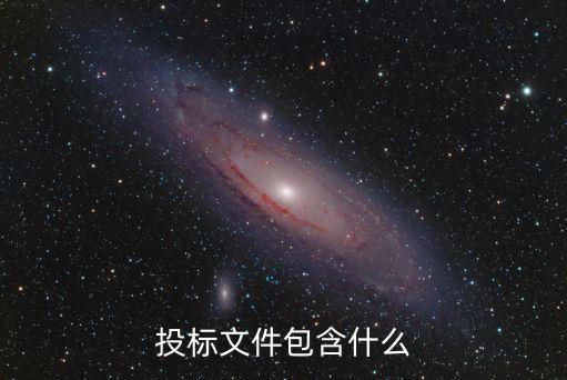 投標文件，投標文件包括什么