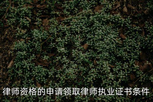 律師資格的申請(qǐng)領(lǐng)取律師執(zhí)業(yè)證書(shū)條件