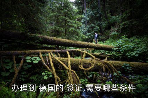 德國旅游簽證