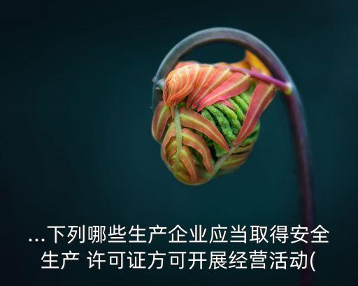 安全生產(chǎn)許可證條例