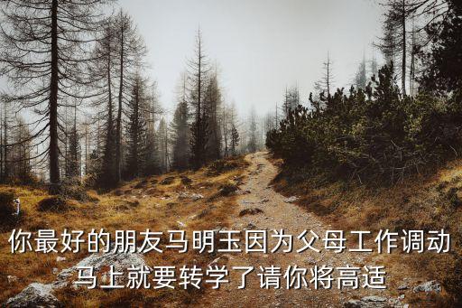 你最好的朋友馬明玉因?yàn)楦改腹ぷ髡{(diào)動(dòng)馬上就要轉(zhuǎn)學(xué)了請(qǐng)你將高適
