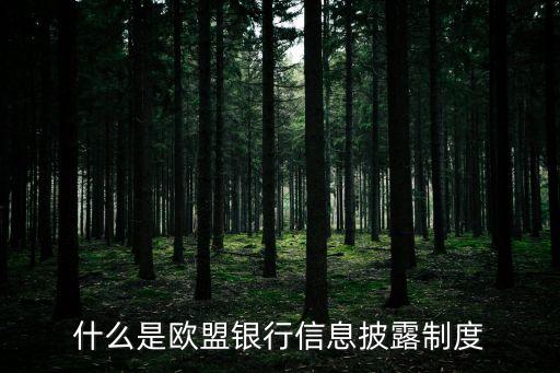 信息披露制度，會(huì)計(jì)信息披露制度概念