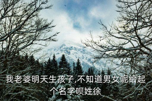 徐小剛